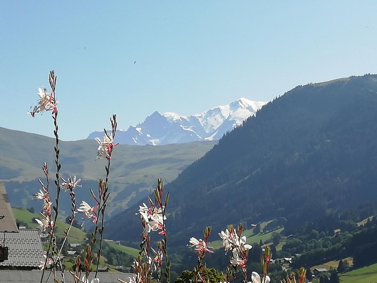 Chambres Et Tables D'Hotes Le Choton A Nono - Col Du Joly Beaufortain Отелюс Екстериор снимка