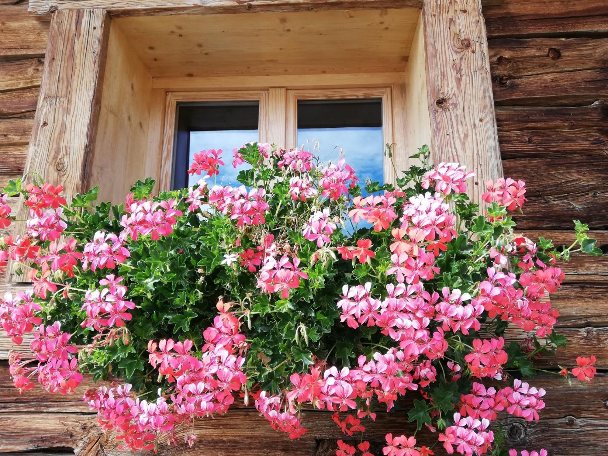 Chambres Et Tables D'Hotes Le Choton A Nono - Col Du Joly Beaufortain Отелюс Екстериор снимка